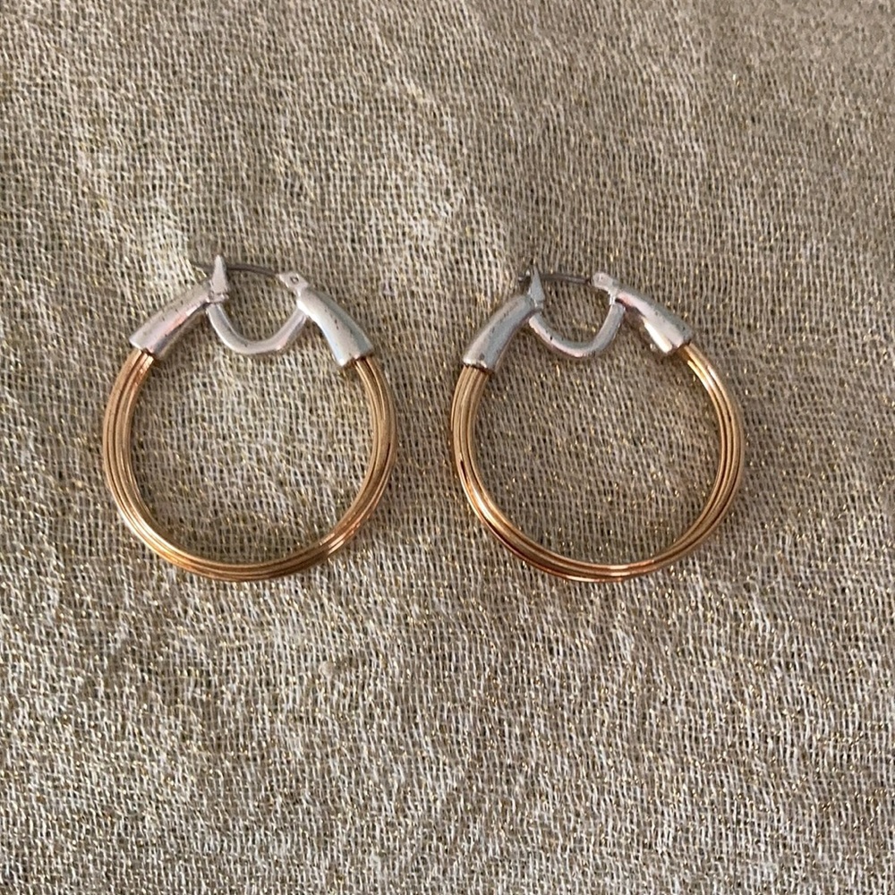 Silver and Gold Wire Hoop Earrings